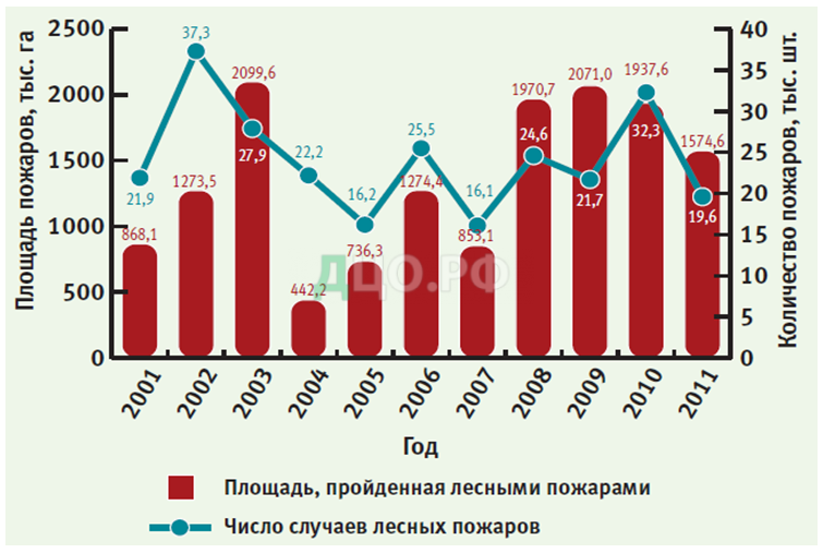 Курсовая работа: Лесные экосистемы и их охрана